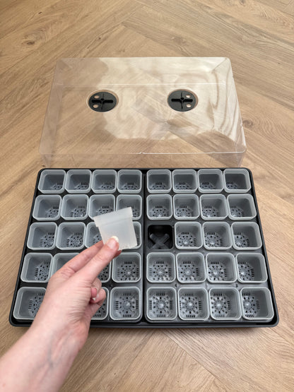 Propagator