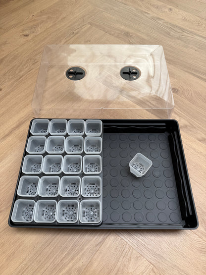 Propagator