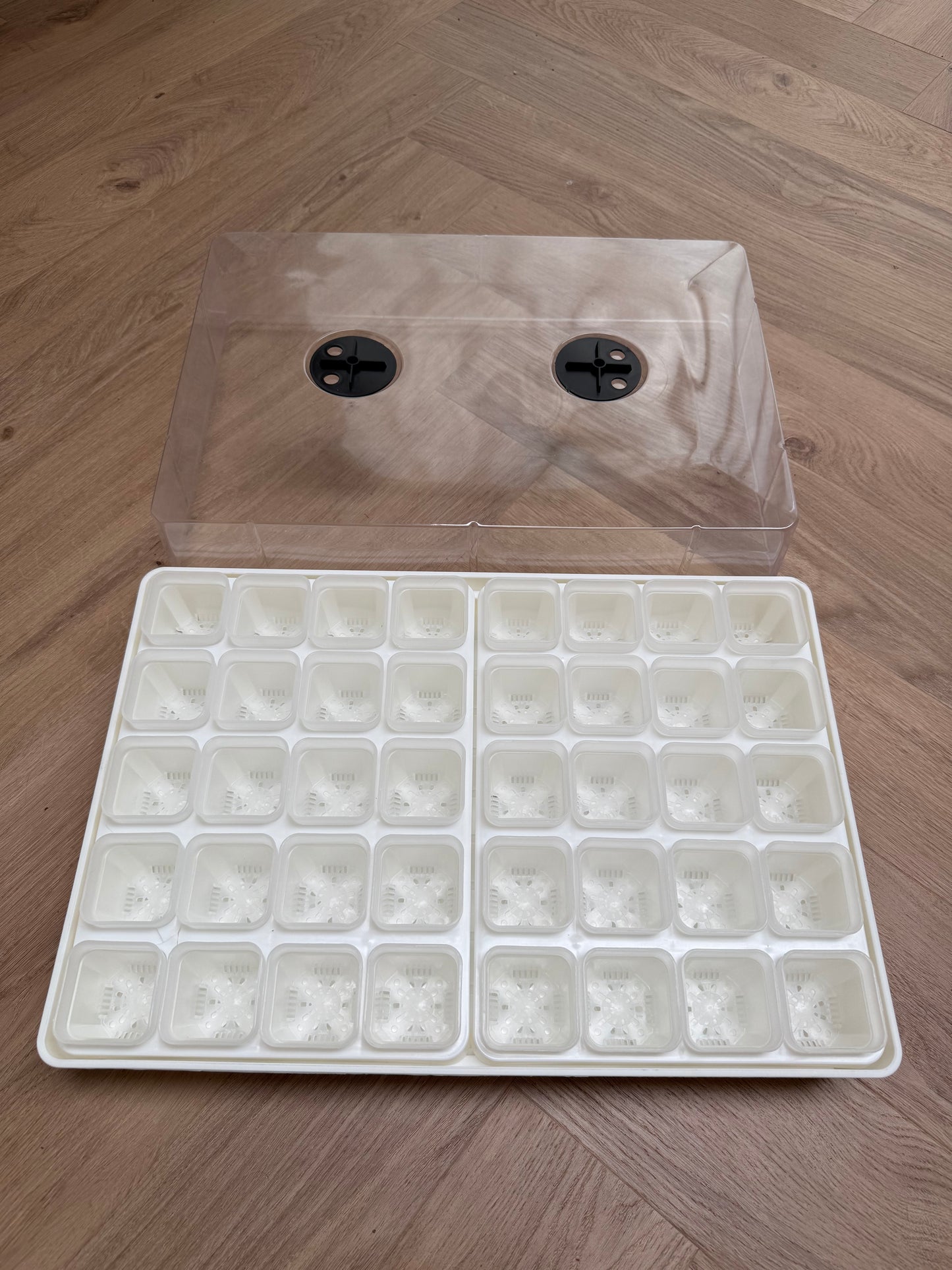 Propagator
