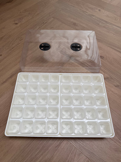 Propagator
