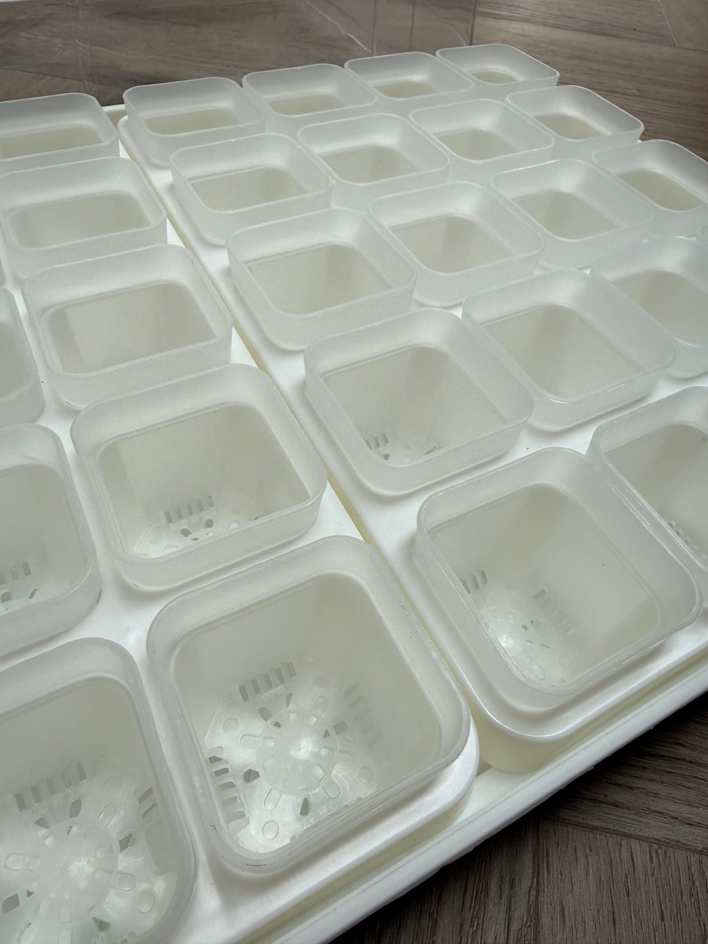 Propagator