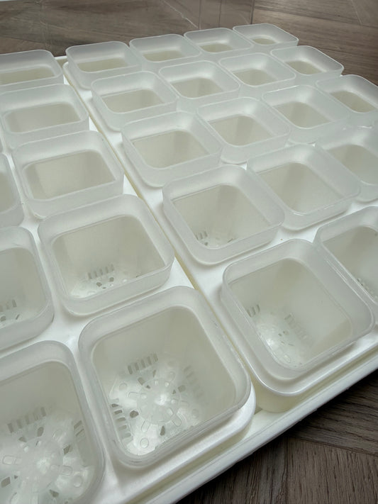 Propagator