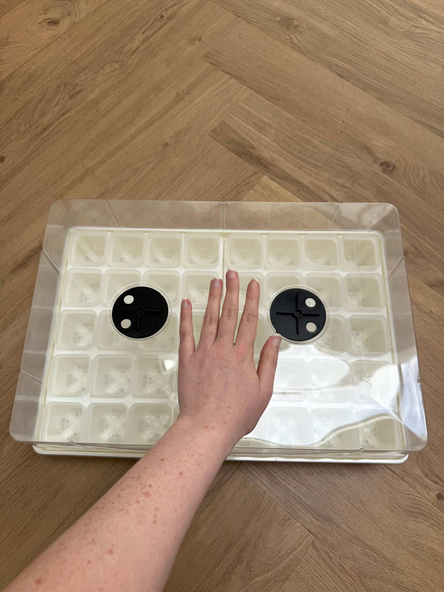 Propagator