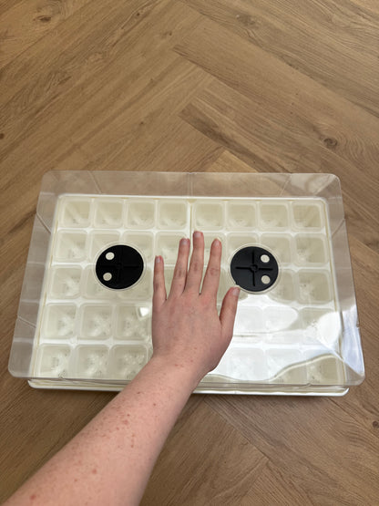Propagator